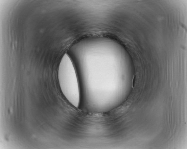 X0000099310768200805020732