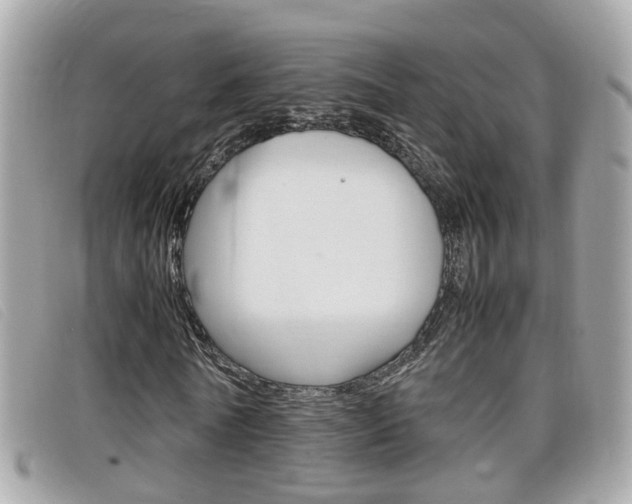 X0000099310770200805020731