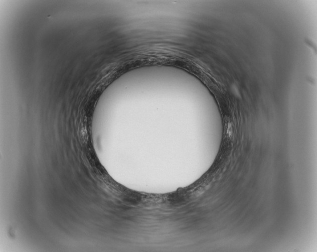 X0000099310771200805020731
