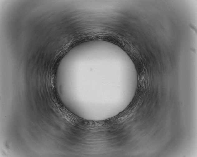 X0000099310772200805020731