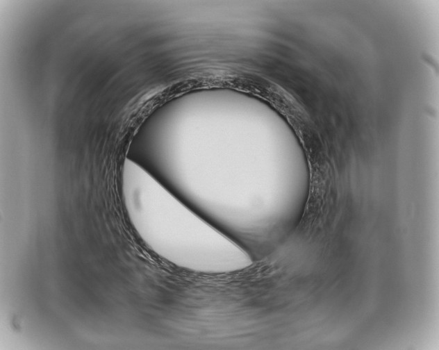 X0000099310773200805020731