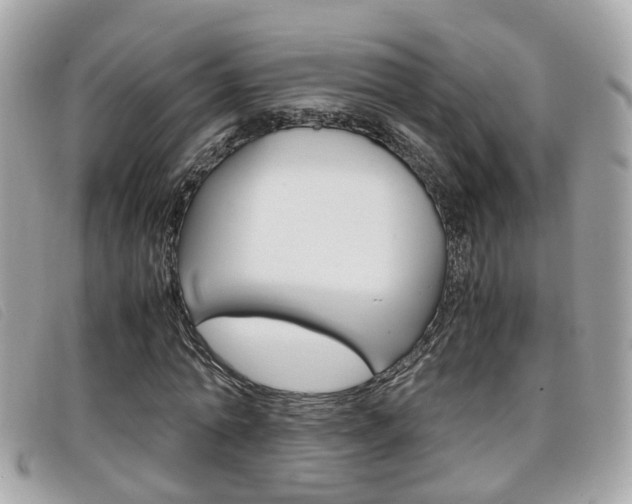 X0000099310774200805020731