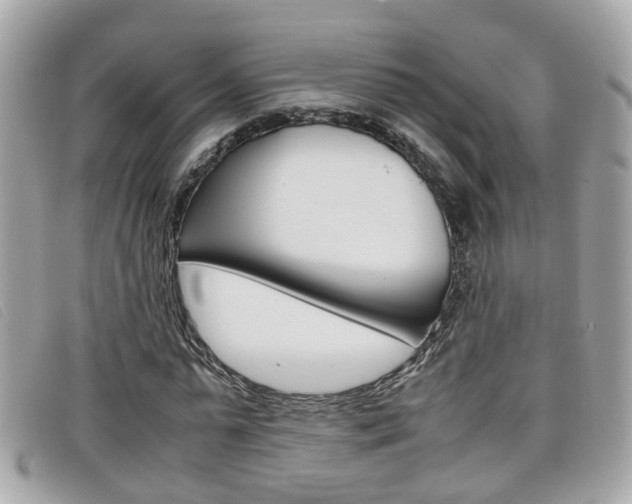 X0000099310775200805020731