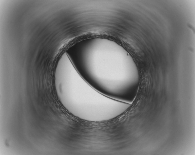 X0000099310776200805020731
