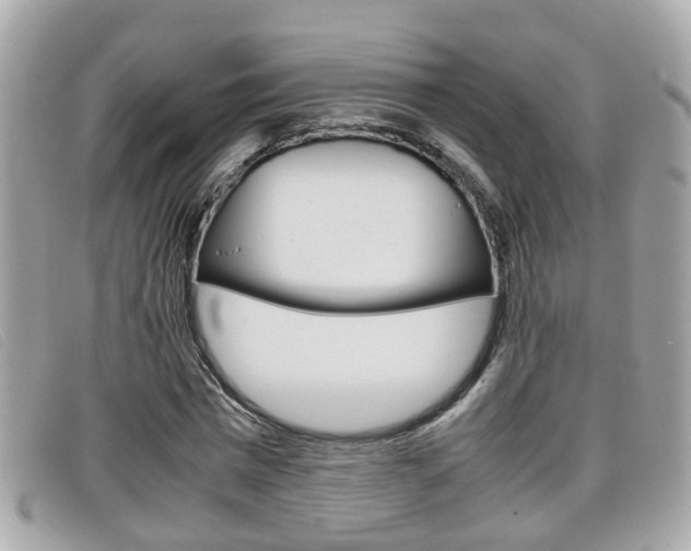 X0000099310777200805020731
