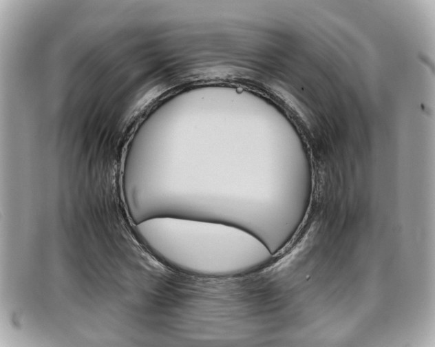 X0000099310778200805020731