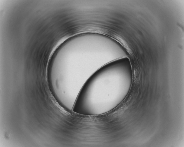 X0000099310780200805020731