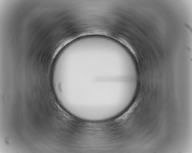 X0000099310781200805020731