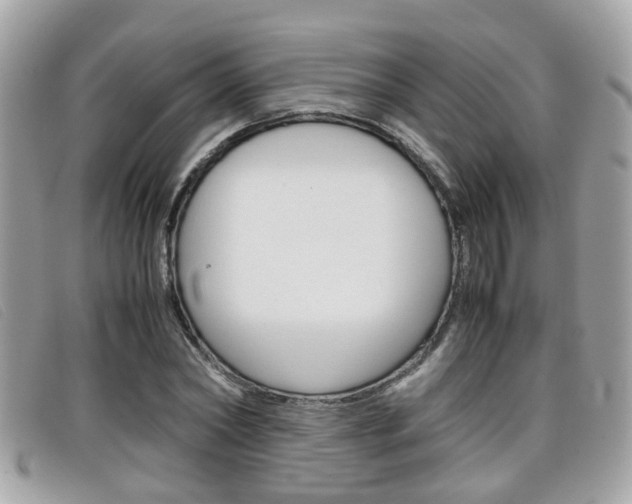 X0000099310782200805020731