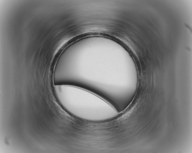 X0000099310783200805020731