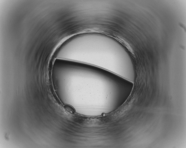 X0000099310784200805020731
