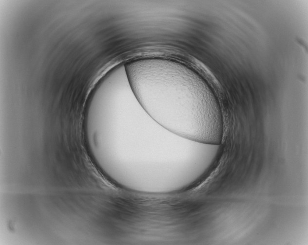 X0000099310786200805020731