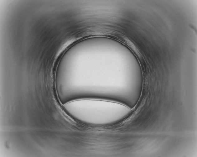 X0000099310787200805020731