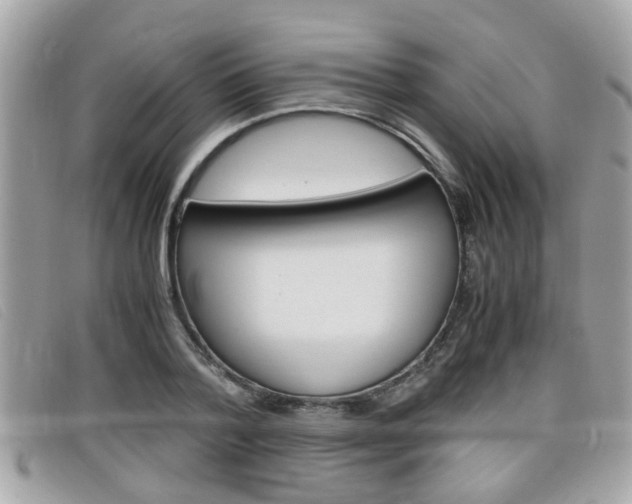 X0000099310788200805020731