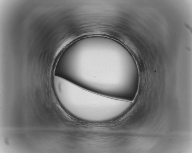X0000099310789200805020731