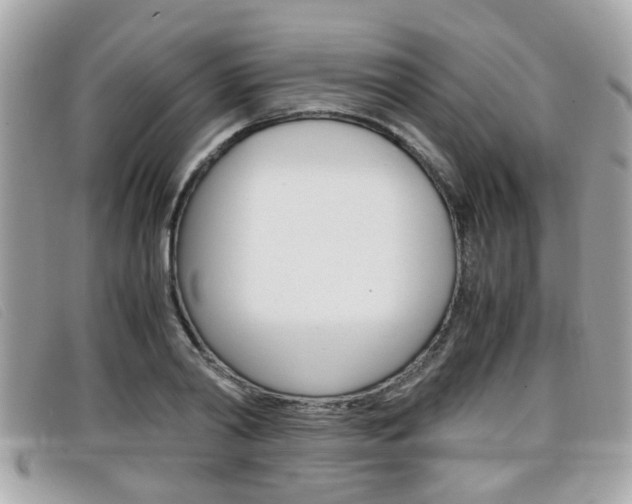 X0000099310790200805020731