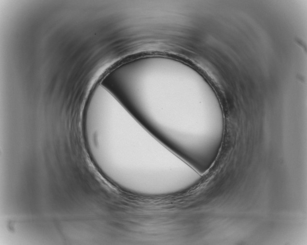 X0000099310791200805020731