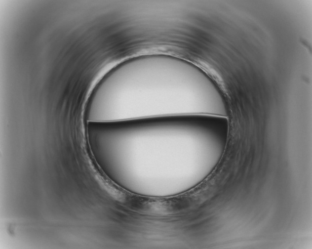X0000099310792200805020731