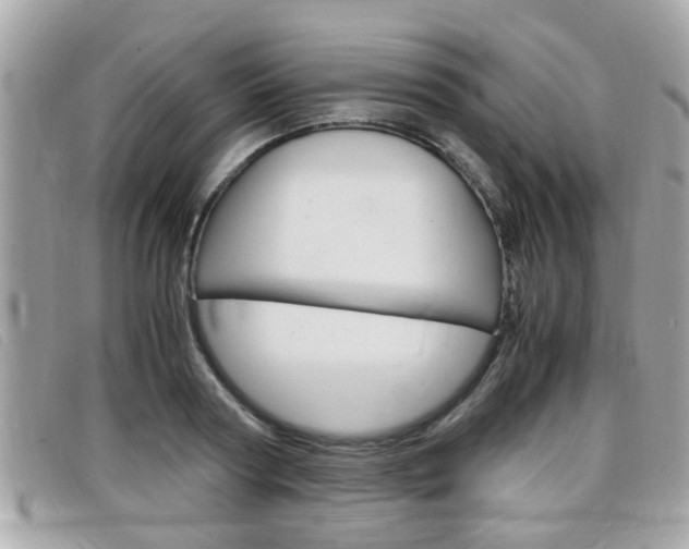 X0000099310794200805020731