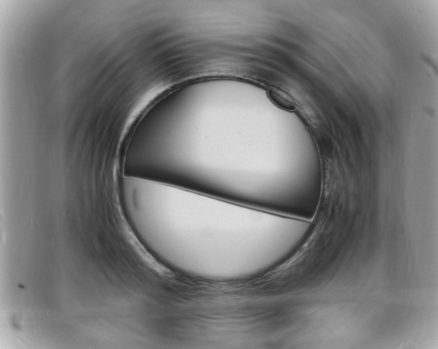 X0000099310796200805020731