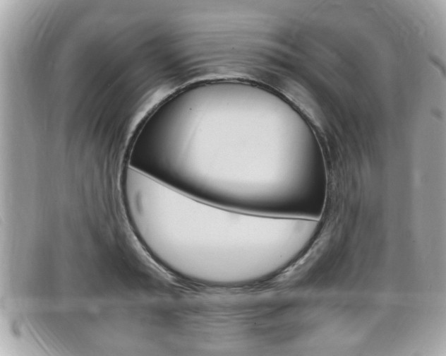 X0000099310797200805020731