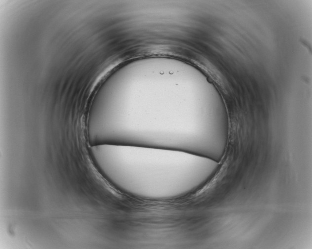 X0000099310798200805020731