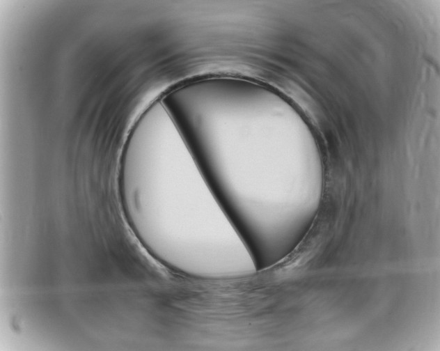 X0000099310799200805020731