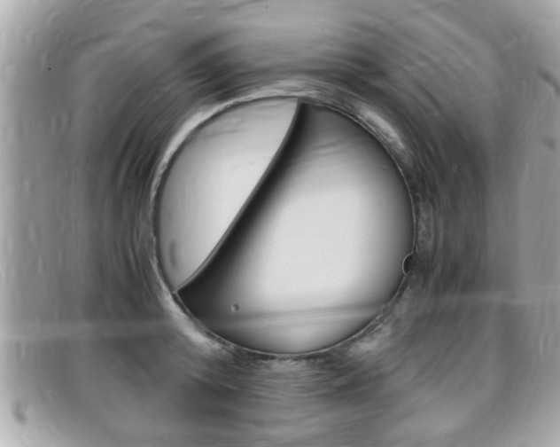 X0000099310800200805020731