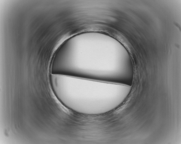 X0000099310803200805020731