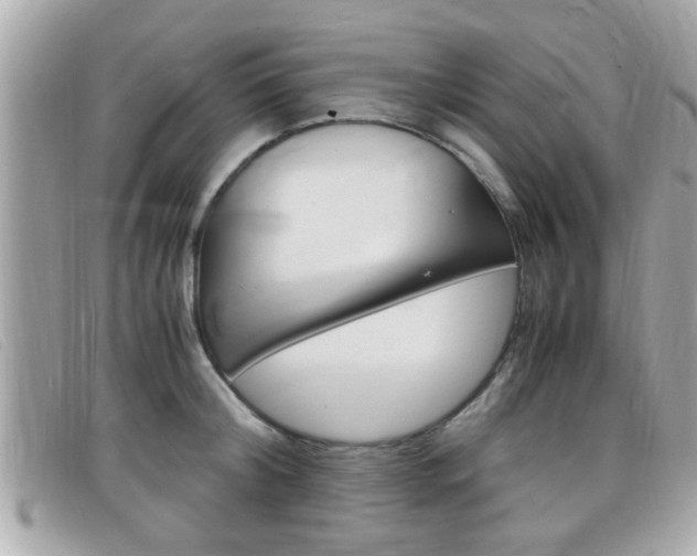 X0000099310804200805020731