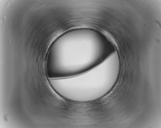 X0000099310805200805020731