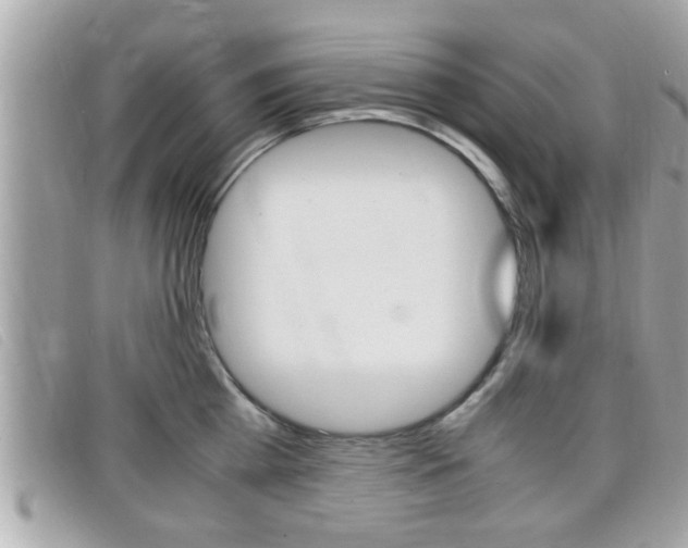 X0000099310809200805020731