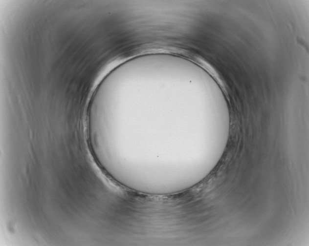 X0000099310811200805020731