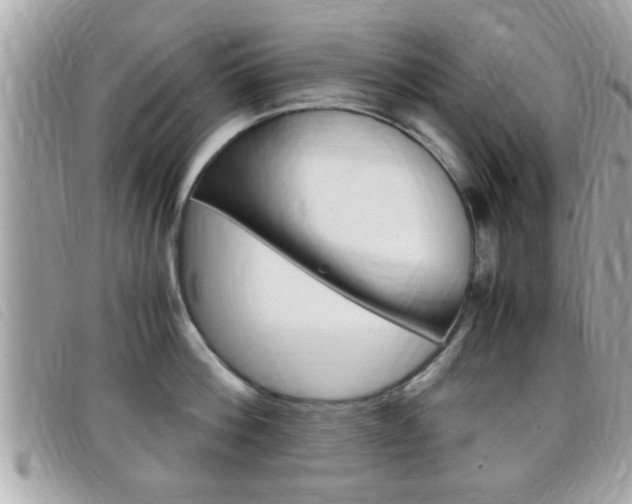 X0000099310812200805020731