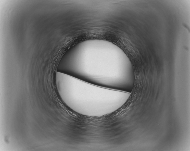X0000099310817200805020730