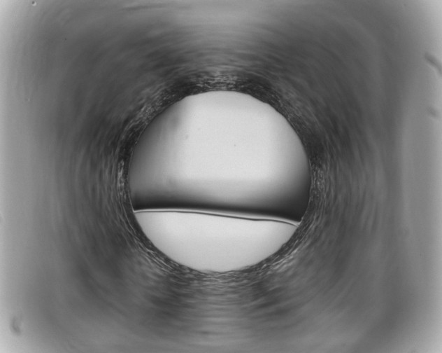 X0000099310818200805020730