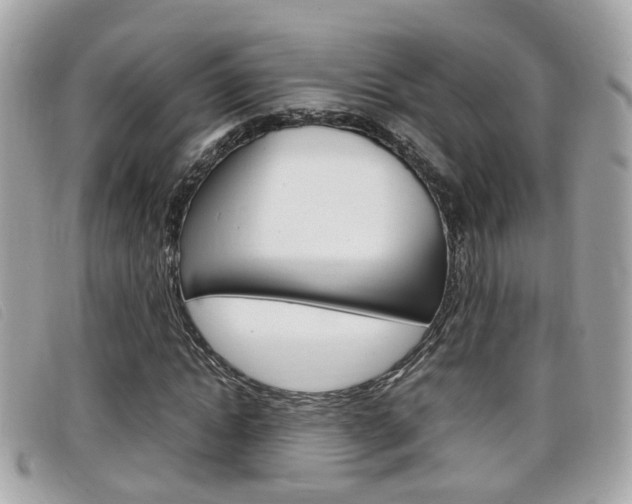 X0000099310822200805020730