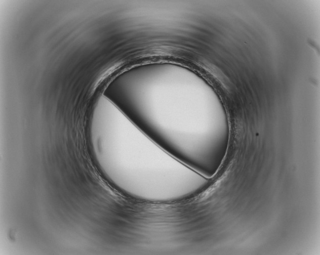 X0000099310826200805020730