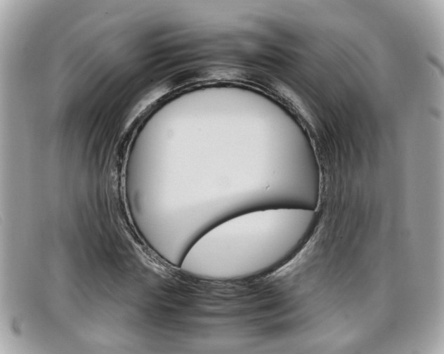 X0000099310827200805020730