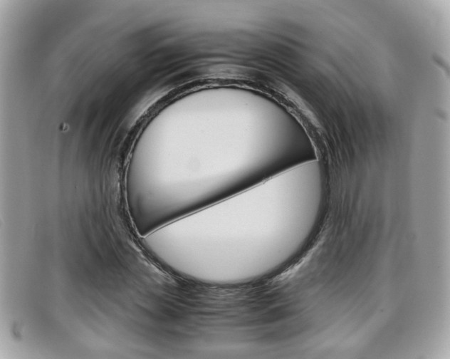 X0000099310829200805020730