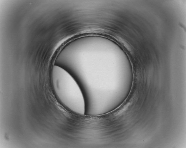 X0000099310830200805020730