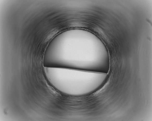 X0000099310833200805020730