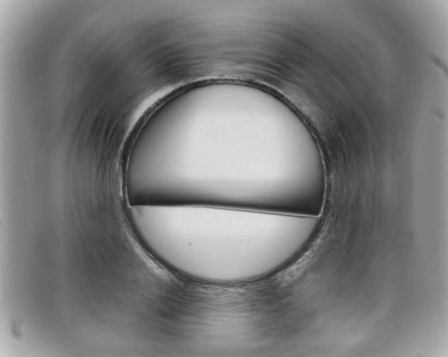 X0000099310838200805020730