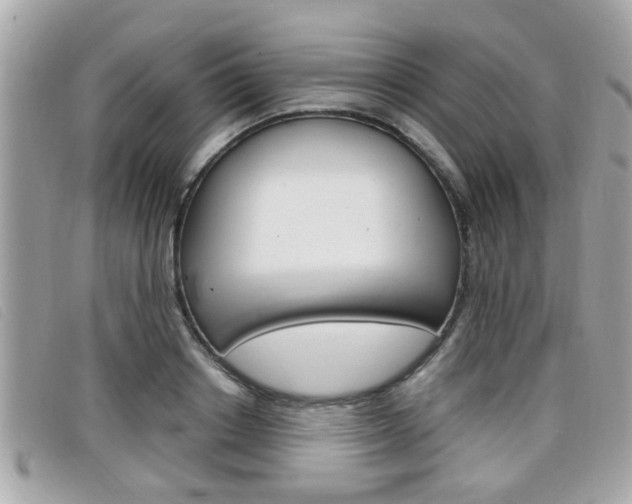 X0000099310842200805020730