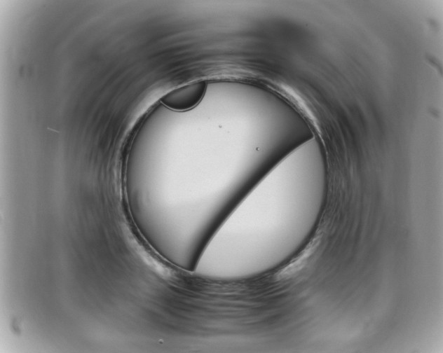 X0000099310843200805020730