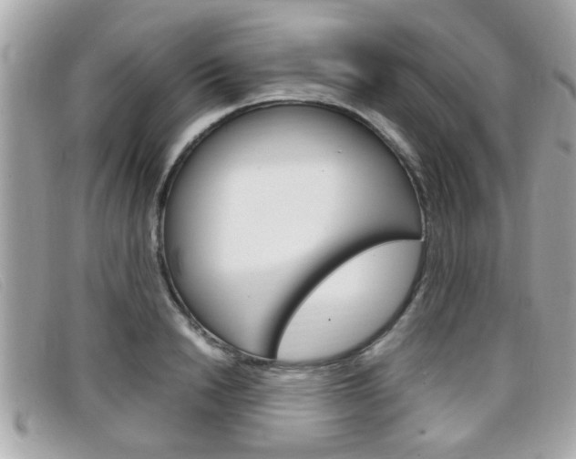 X0000099310846200805020730