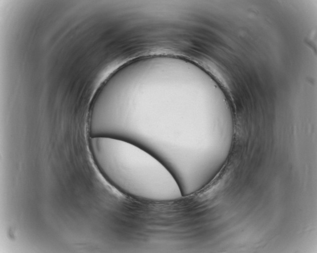 X0000099310847200805020730