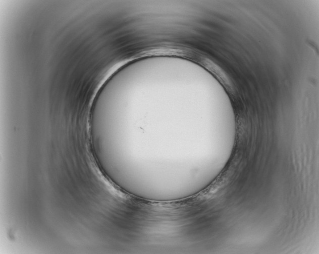 X0000099310852200805020730