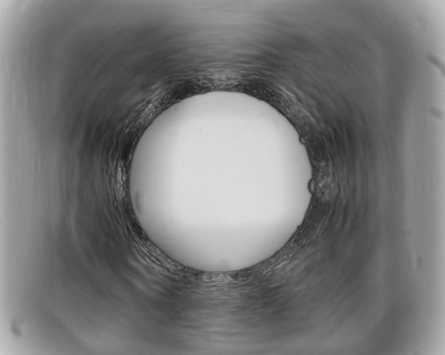 X0000099310866200805020730