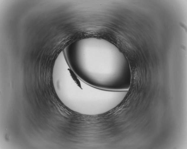 X0000099310868200805020730
